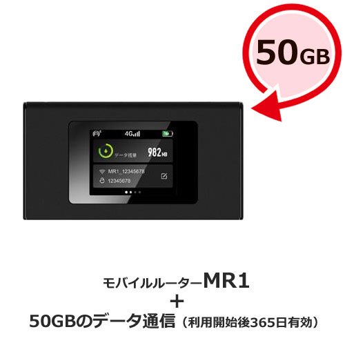 MS4GRA0150 [jetfi MR1 年間通信プラン付き50GB]