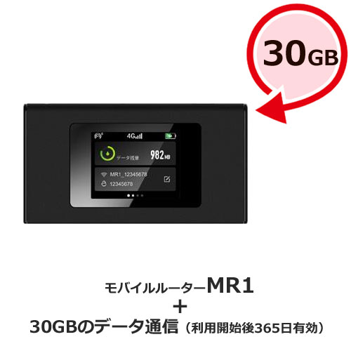 MS4GRA0130 [jetfi MR1 年間通信プラン付き30GB]