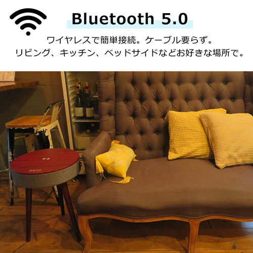 STC-109BBT-BR_画像2