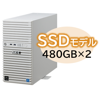 NEC Express5800 NP8100-2902YQ6Y [T110k Xeon4C/8G/SSD 480GB*2/R1/W22]