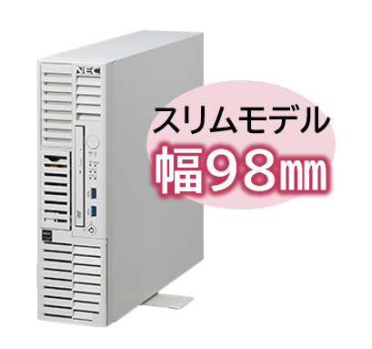 NEC Express5800 NP8100-2887YQAY [T110k-S Xeon4C/16G/SAS 600GB*2/R1/W22]