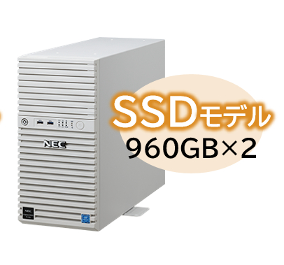 NEC Express5800 NP8100-2902YQ7Y [T110k Xeon4C/8G/SSD 960GB*2/R1/W22]