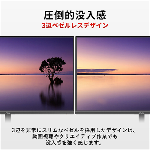 PX274P_画像3