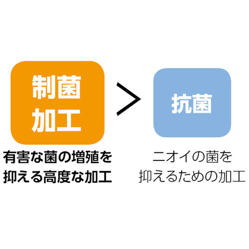 51730_画像2