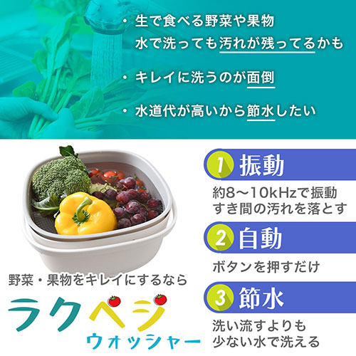 ULTVEGCWH_画像2