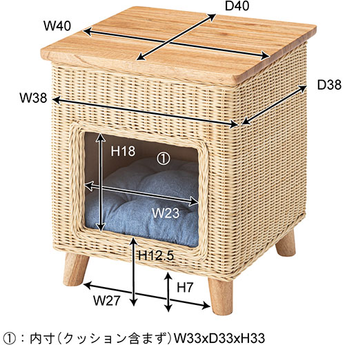 PET-63_画像2
