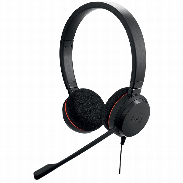 GNオーディオ 4999-829-289 [Evolve 20 UC Stereo USB-C]