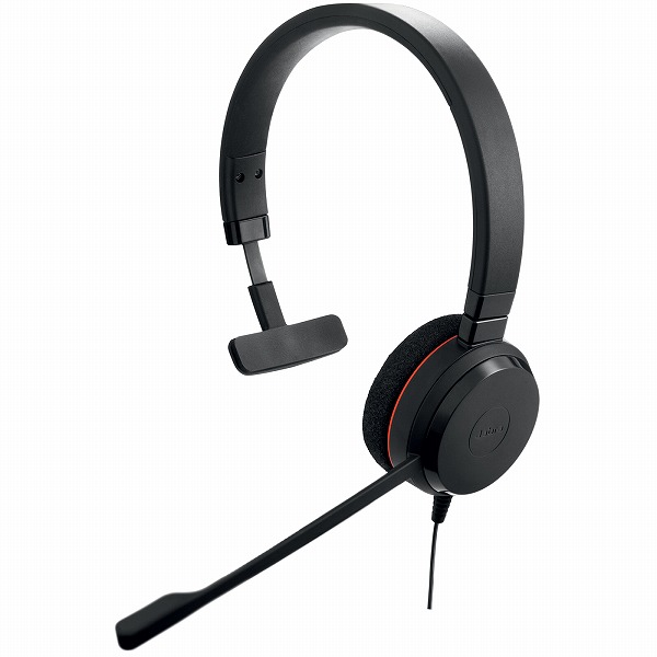 GNオーディオ 4993-823-189 [Evolve 20 MS Mono USB-C]