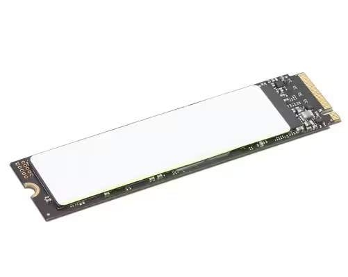 レノボ・ジャパン 4XB1M86954 [Lenovo 512GB PCIe Gen4 NVMe OPAL2.0 M.2]