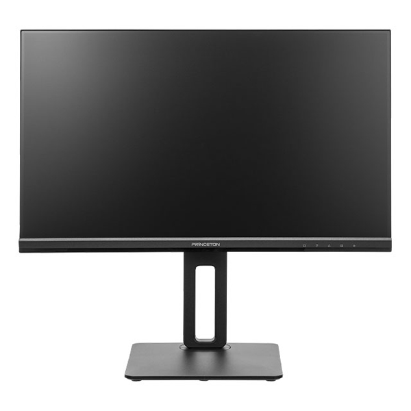 プリンストンテクノロジー PTF-B241WS-BK [★液晶ディスプレイ 23.8型/1920×1080/ブラック]