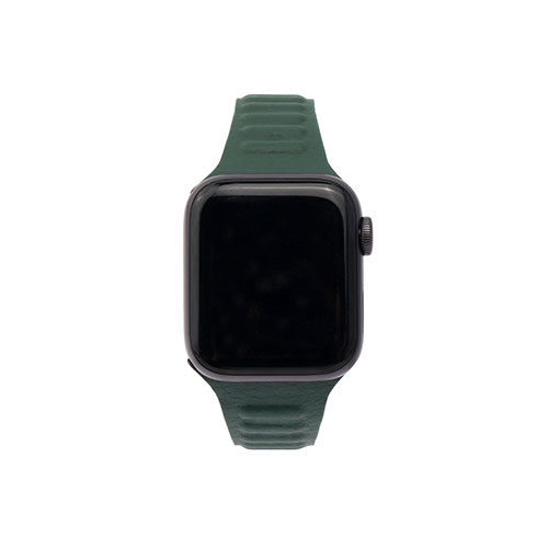 WEARPLANET WP23201AWGR [Slim Line マグネットリンクバンド for Apple Watch 41/40/38mm Hooker's Green]