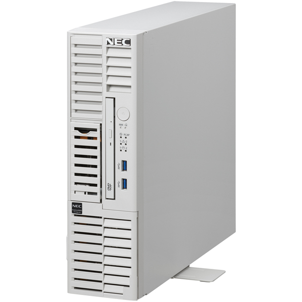 NEC NP8100-2993YP4Y [T110m-S Xeon 4C/16G/4TB*2/R1/W22]