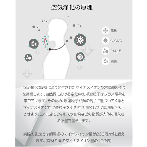 ibleAirvida Le1BK_画像6
