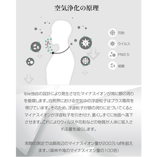 ibleAirvida Le1W_画像6