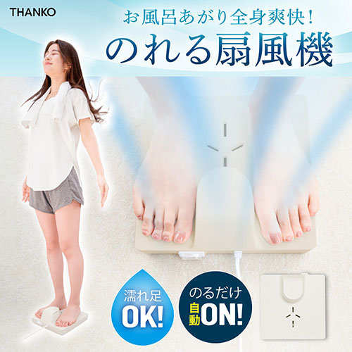 GDYFANHGR_画像1