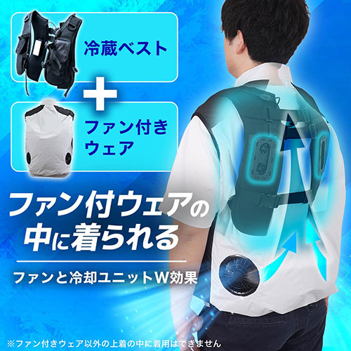RZFHTVSBK_画像4