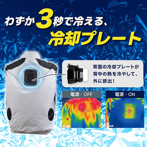 TKCV24FGY_画像2