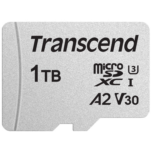 TS1TUSD300S-A_画像1