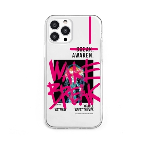 dparks DS21175i13P [ソフトクリアケース for iPhone 13 Pro AWAKEN PINK]