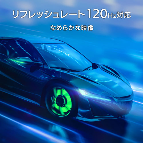 DI-GD251SH_画像3