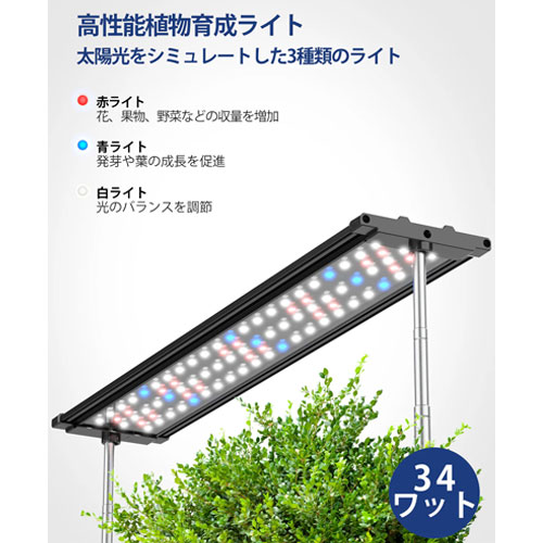 ID I-D-01_画像2