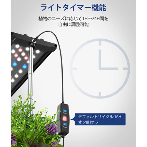 ID I-D-01_画像5