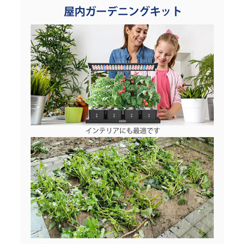 ID I-D-01_画像6