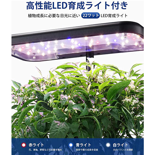 ID IG308_画像2