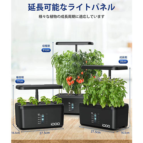 ID IG308_画像5