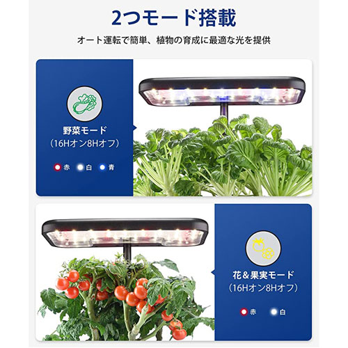 ID IG308_画像6