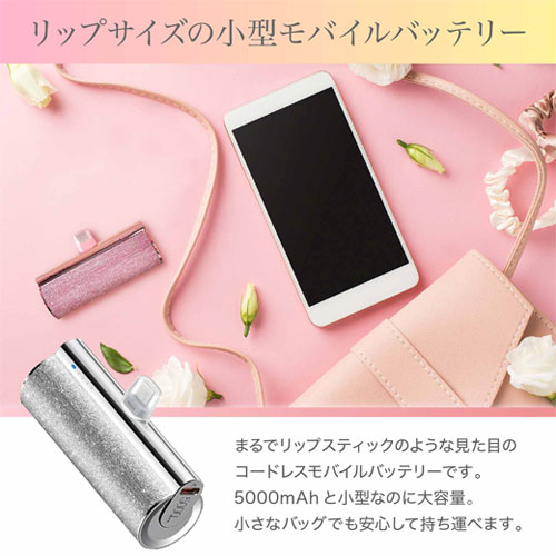 UQ-Lipstick-C-SL_画像2