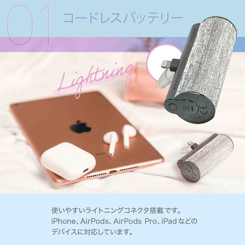 UQ-Lipstick-L-RG_画像4
