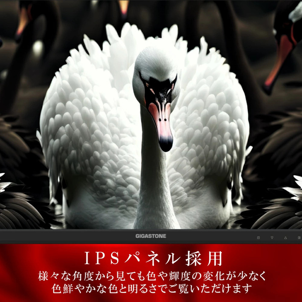GJGL-24FF3-238_画像3