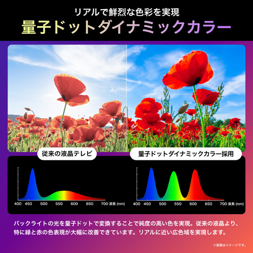 75U9N_画像2