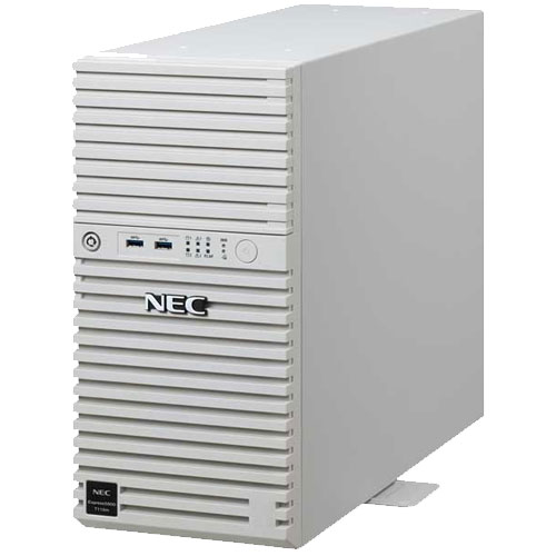 NEC NP8100-2995YPDY [T110m Xeon 4C/16G/2TB*2/R1/W22]