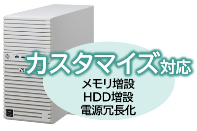 NEC NP8100-2995YPEY [T110m Xeon 4C/16G/600GB*2/R1/W22]