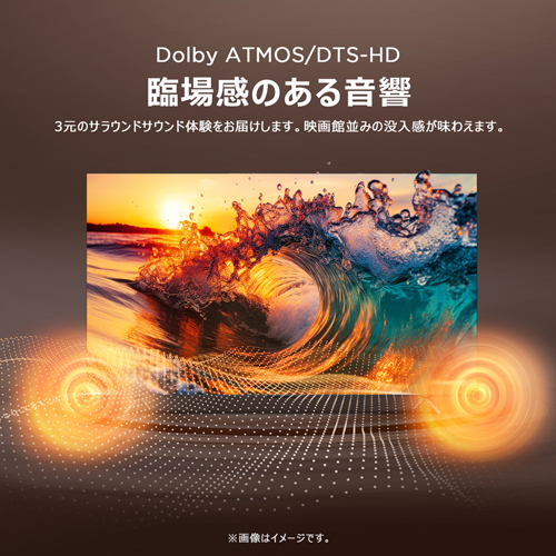 43P79B_画像5