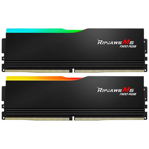 F5-6000J3648D16GX2-RM5NRK [Ripjaws M5 Neo(EXPO) 32GB (16GBx2) DDR5 6000 MT/s CL36-48-48-96 1.25V Bk]