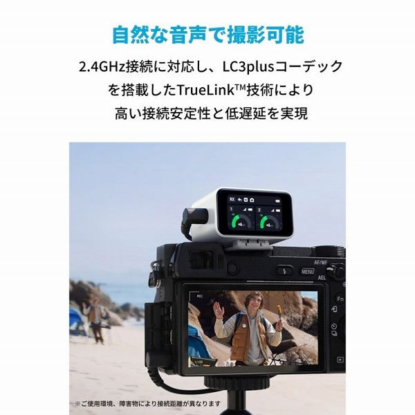 A3320021_画像5