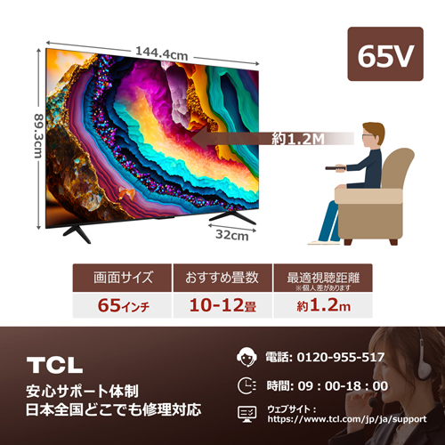 65P79B_画像1