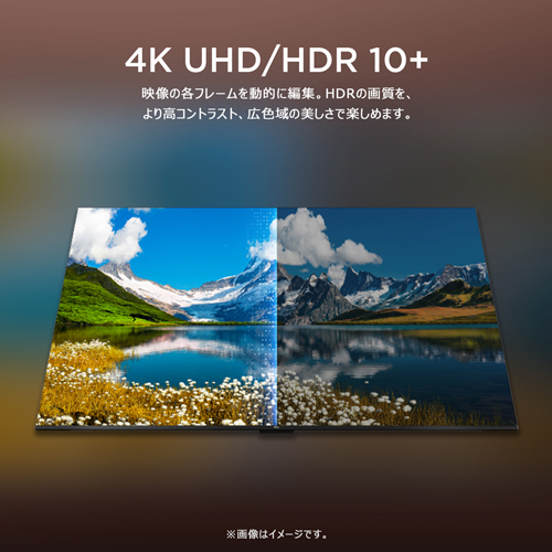 65P79B_画像4