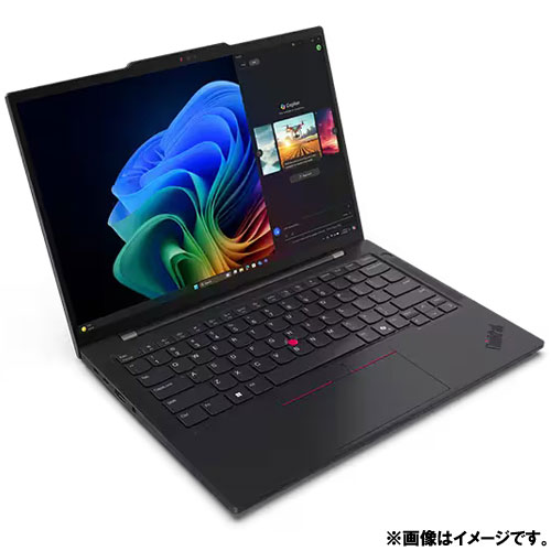 21N1001DJP_画像1