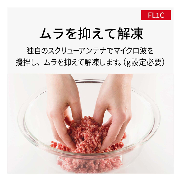 NE-FL1C-W_画像2