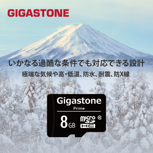 GJM10-8G5PK_画像8