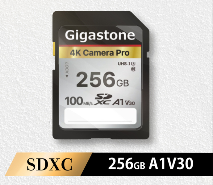 Gigastone GJSXR4K Camera Pro GJSXR4K-256GV3A1 [SDXCカード 256GB CL10 U1 A1 V30]