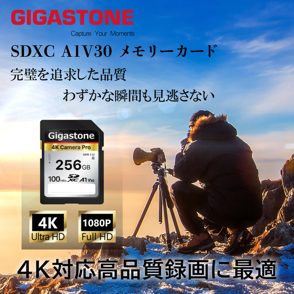 GJSXR4K-256GV3A1_画像3