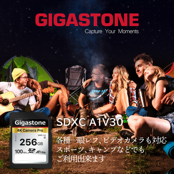 GJSXR4K-256GV3A1_画像4