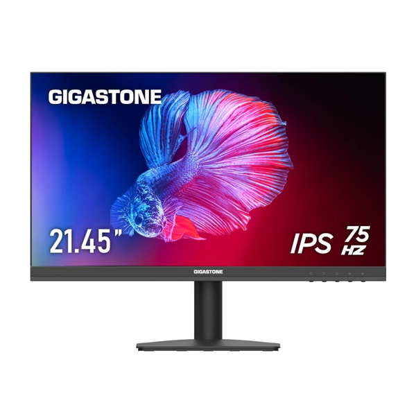 Gigastone GJLM GJLM-22FA51-2145 [液晶モニター 21.45型/1920×1080/フレームレス]