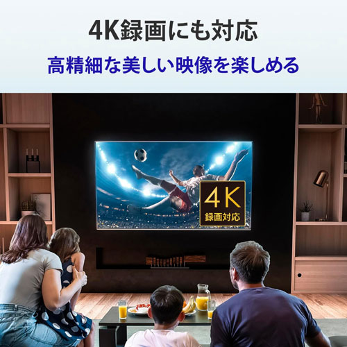 AVHD-AS3/E_画像4
