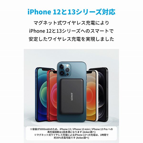A16190V1_画像2